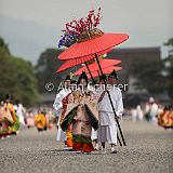 AoiMatsuri 20150515_083 CPR.jpg