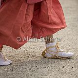 AoiMatsuri 20150515_533 CPR.jpg