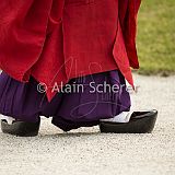 AoiMatsuri 20150515_557 CPR.jpg