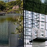 Contraste Japonais 07.jpg