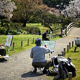 Hamarikyu 200704_6623 CPR.jpg