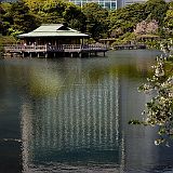 Hamarikyu 200704_6640_PRT CPR.jpg