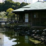 Hamarikyu 200704_6643 CPR.jpg