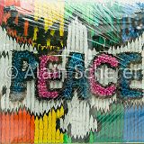 Hiroshima 20141026_016 CPR.jpg